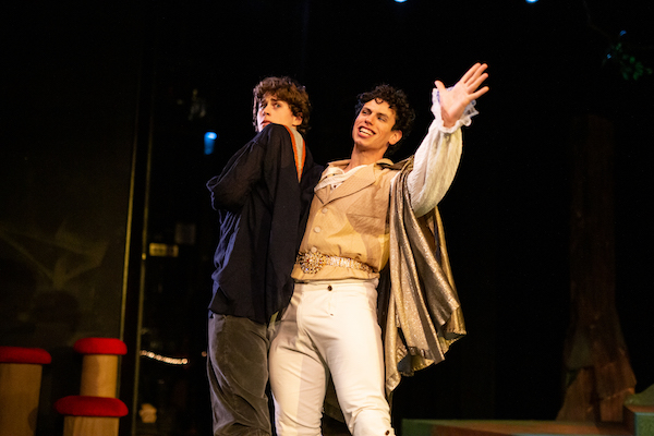 photo - Lucas Gregory, left, and Daniel Cardoso, in Metro Theatre’s Snow White: The Panto, which runs until Jan. 3