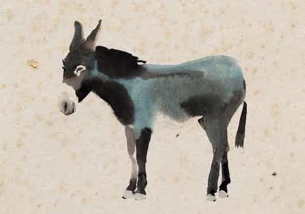 photo - drawing of a donkey