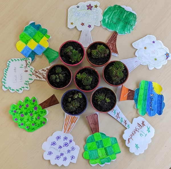 photo - Richmond Jewish Day School held a week of activities revolving around Tu b’Shevat