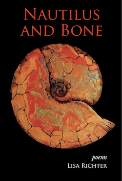 image - Nautilus and Bone book cover
