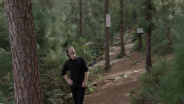 film still - Jason Sherman wanders through an Israeli pine forest in search of his tree