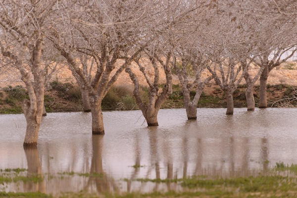 BGU tackles climate change