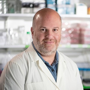 photo - Prof. Rami Aqeilan, chair of IMRIC