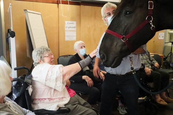 photo - Loni the Percheron Horse visit with residents of the Louis Brier