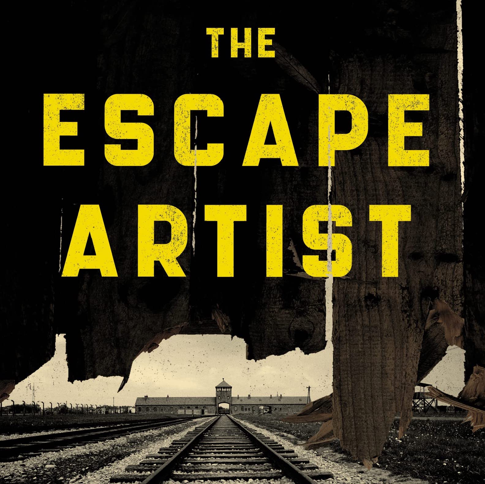image - The Escape Artist book cover cropped