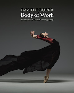 photo - Only 500 copies of David Cooper Body of Work have been printed
