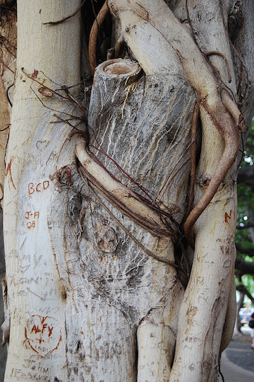 photo - Embraced and Loved” by Sidi Schaffer