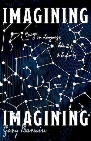 image - Imagining Imagining book cover