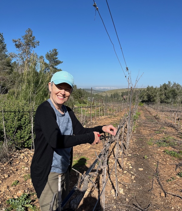 photo - Vancouverite Gail Mattuck volunteering in Israel after Oct. 7. She found her placements with the help of the Sword of Iron – Israel Volunteer Opportunities Facebook group