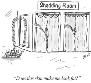 image - snakes trying skins on in a dressing room cartoon