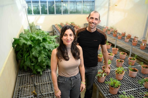 Sanctuary garden benefits