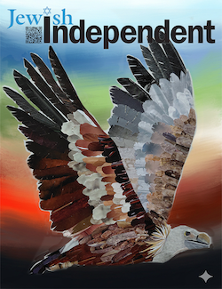 image - I tried two different backgrounds for the griffon vulture collage on this issue’s cover, before I decided to make my own. This one is an AI-generated image based on colour suggestions, going from darkness to light