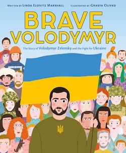 image - Brave Volodymyr book cover